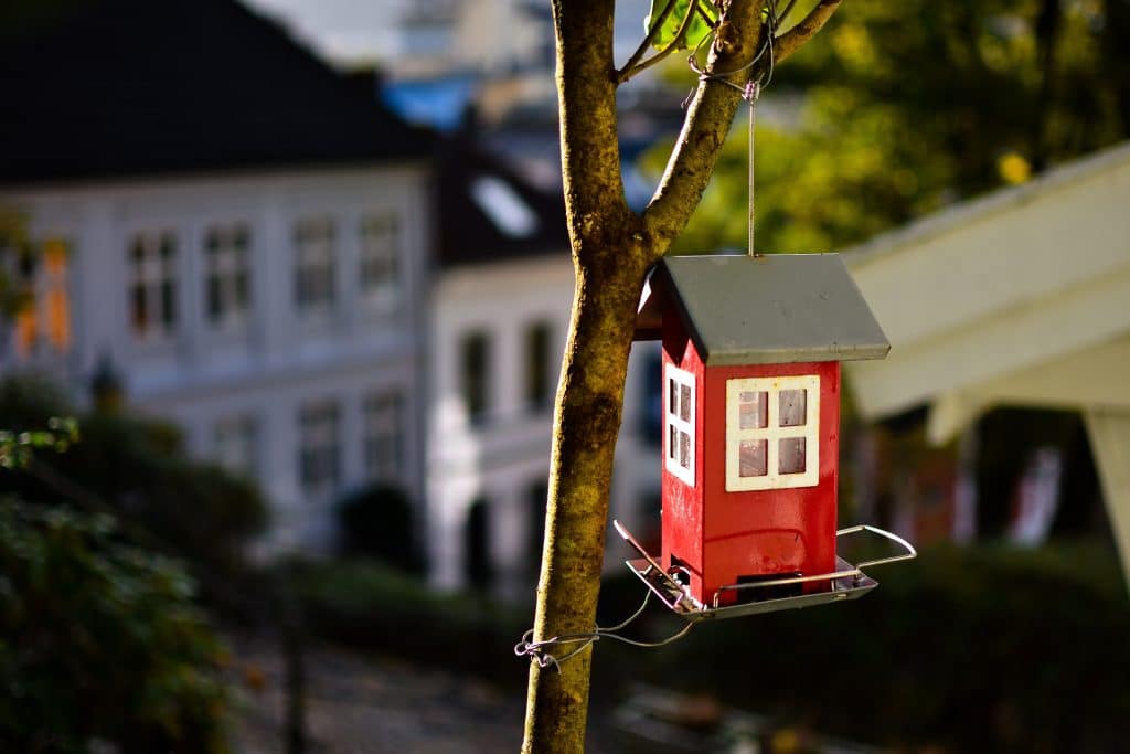 agence immobilière à Corbas