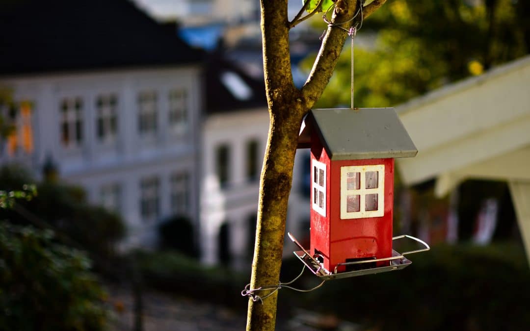 Top 3 :  Les avantages de la maison en carton